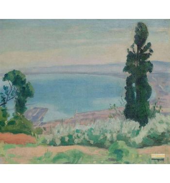 The Bay Of Alger View Del Biar