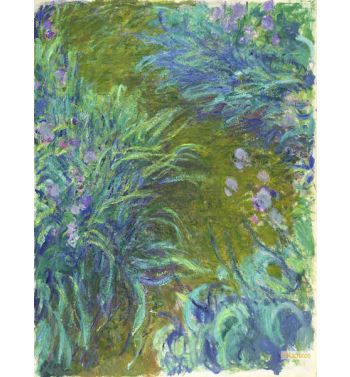 Irises 1914-17