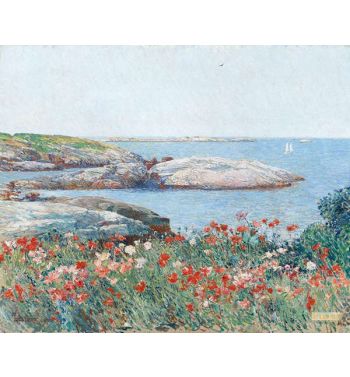 Poppies Isles Of Shoals