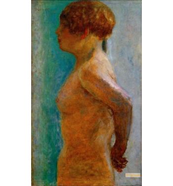Woman's Torso In Profile