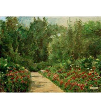 Garden Beds With Path And Flowers