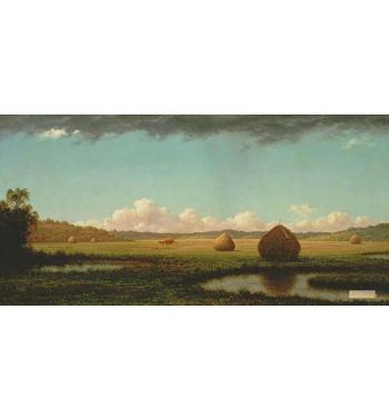 Summer Showers C1862 63