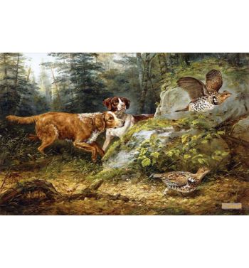 Flushed Ruffed Grouse Shooting 1857