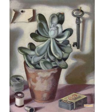 Still Life With Succulent