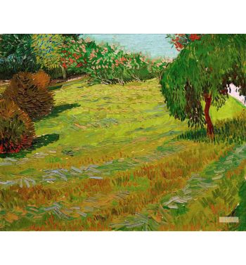 Sunny Lawn In A Public Park