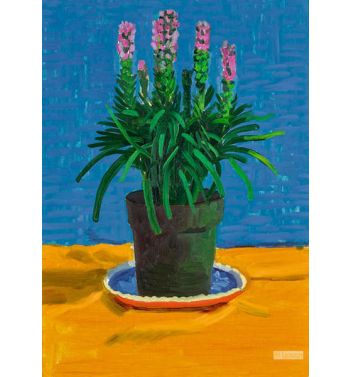 Plant On Yellow Cloth