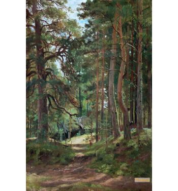 Pine Forest 1890