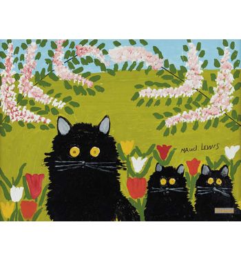 Three Black Cats, Ca, 1969–70