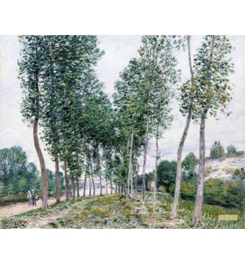 Alley Of Poplars Along The Loing 1892