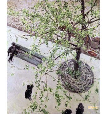 Boulevard Seen From Above 1880