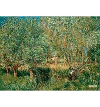 Meadows On The Banks Of The Orvanne