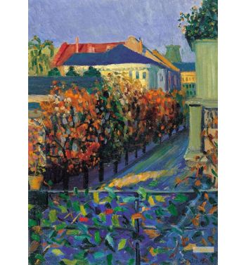 View From The House Of The Brother Of The Artist Bonn