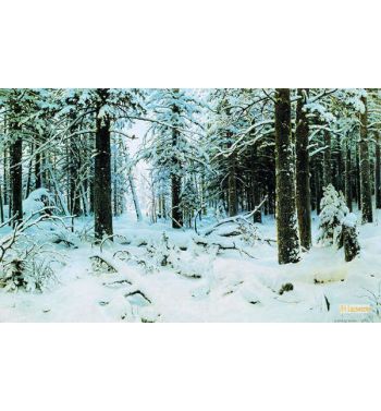 Winter In A Forest Rime 1890