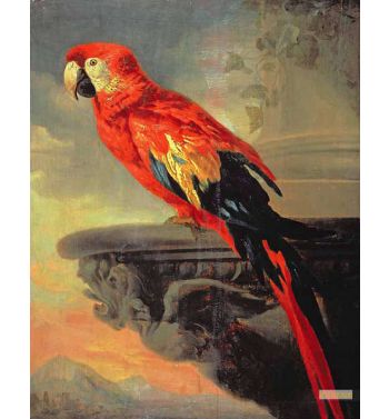 Parrot