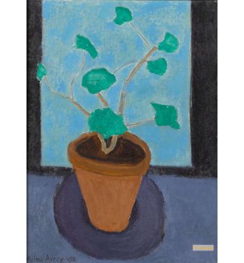 Potted Plant