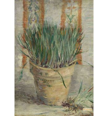 Flowerpot With Chives