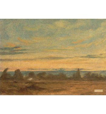 Summer - Evening Landscape