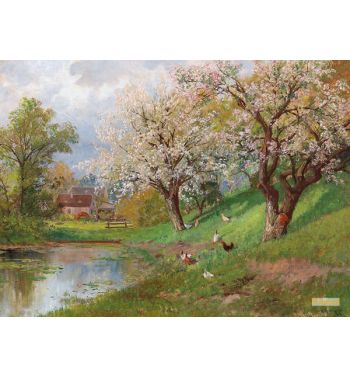 Spring in the Country