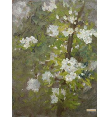 White Blossom