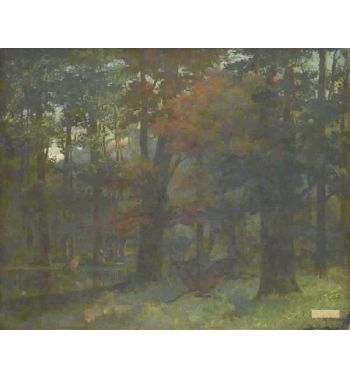 In The Forest