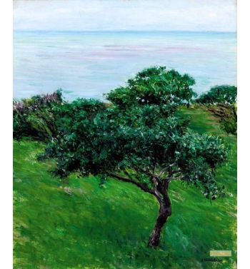 Apple Trees By The Sea Trouville 1880