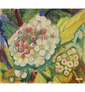 From The White Bush 1919