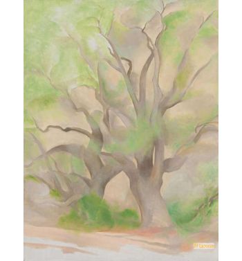 Green Tree 1953