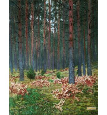 Landscape With A Fern In The Pine Forest Autumn