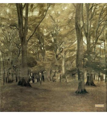 Forest Interior The Big Trees Halskov Vaenge Falster