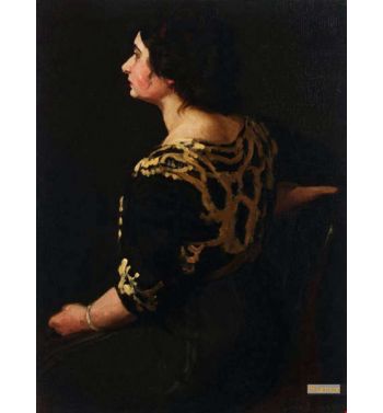 Stein Profile 1904