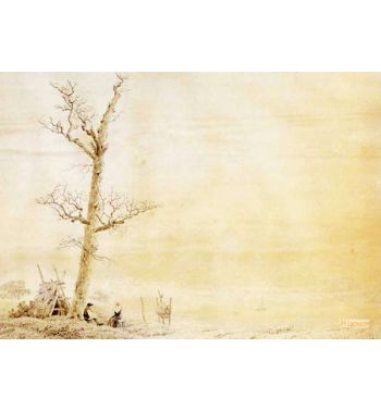 Dead Oak Summer Landscape