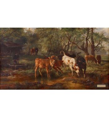 Cows Watering