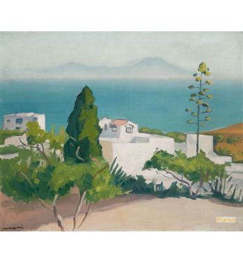 Landscape Of Sidi Bou Said