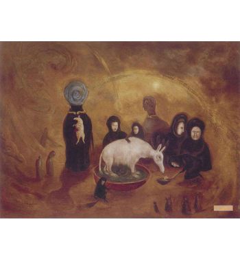 Aardvark Groomed by Widows