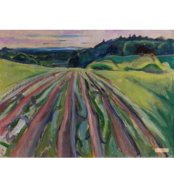 Ployemark, Ploughed Field