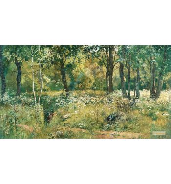 Forest Glade