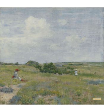 Shinnecock Hills C1895