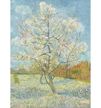 Peach Tree In Blossom