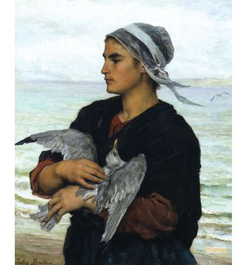 The Wounded Sea Gull