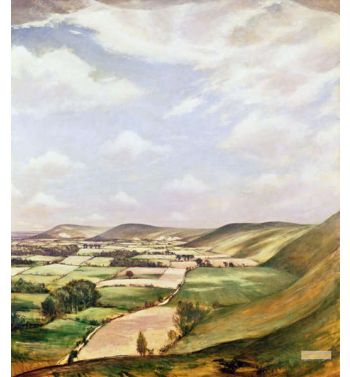 Sussex Landscape