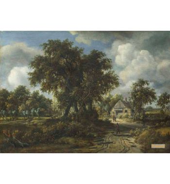 A Woody Landscape