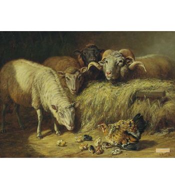 Maternal Solicitude