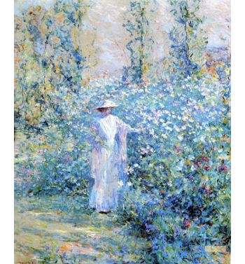 In The Flower Garden