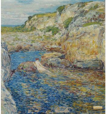Rockweed Pool 1902