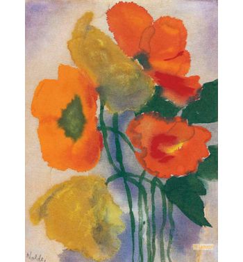 Red And Yellow Poppy