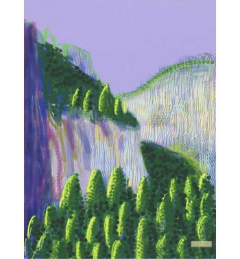 Yosemite No, 11, 2010