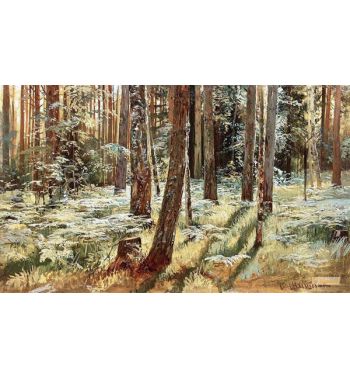 Ferns In The Forest Siverskaya 1883