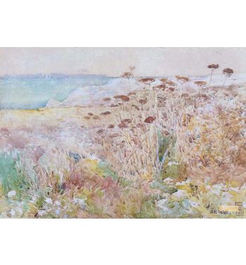 Isles Of Shoals 1890