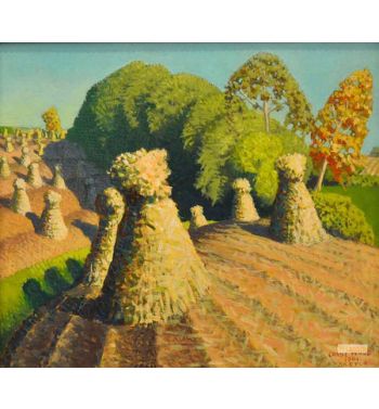Cornfield