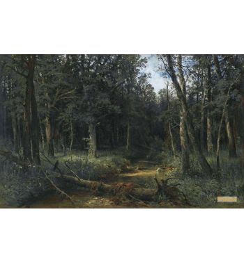 The Dark Wood 1876